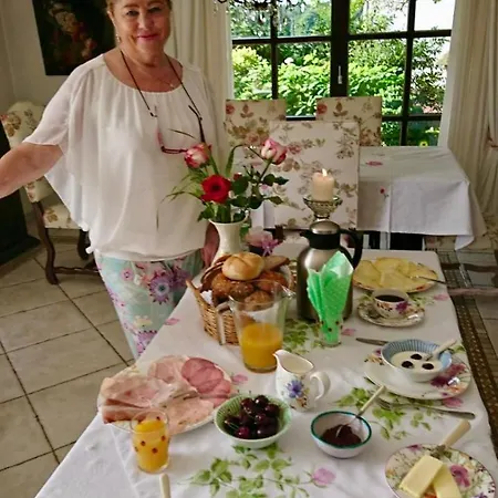 招待所 罗曼蒂克别墅酒店 安德希斯